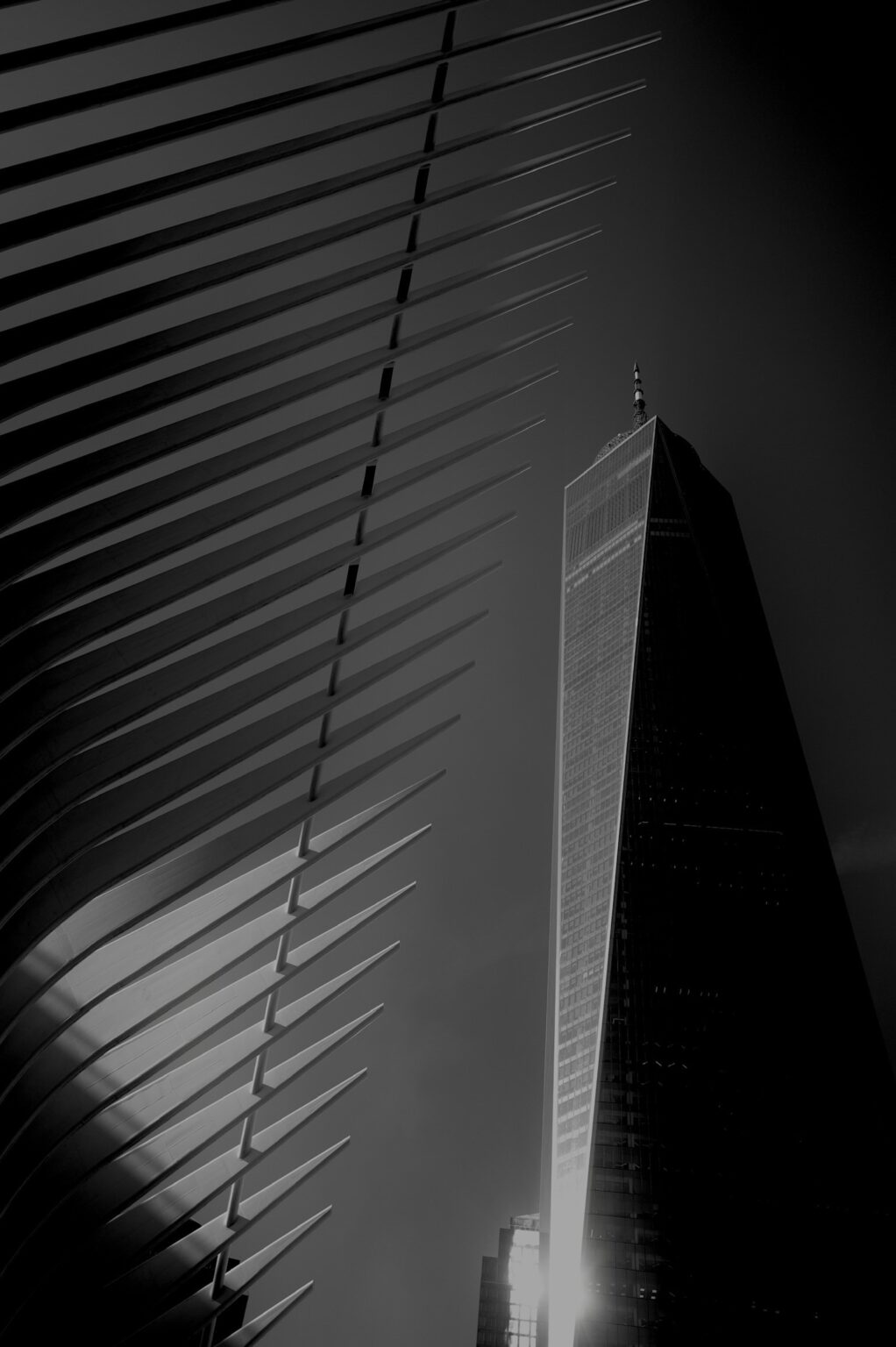 DO01010144